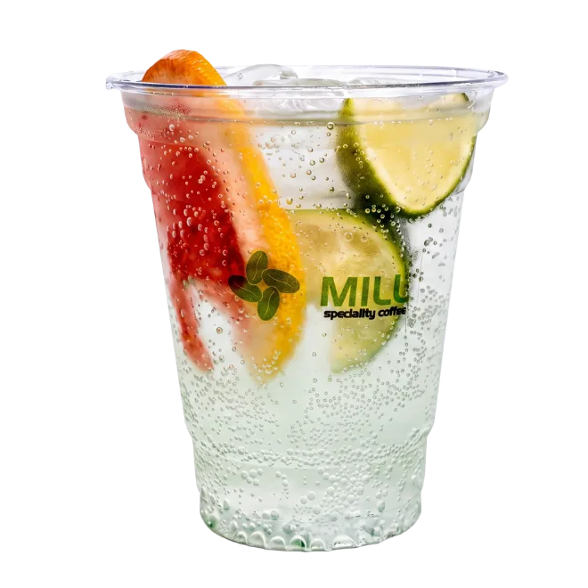 Gin Tonic