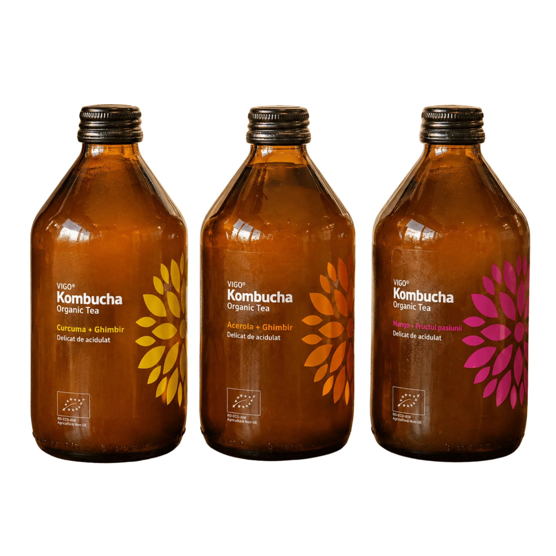 Kombucha Vigo 