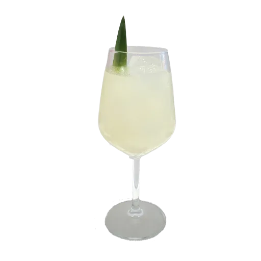 Pina