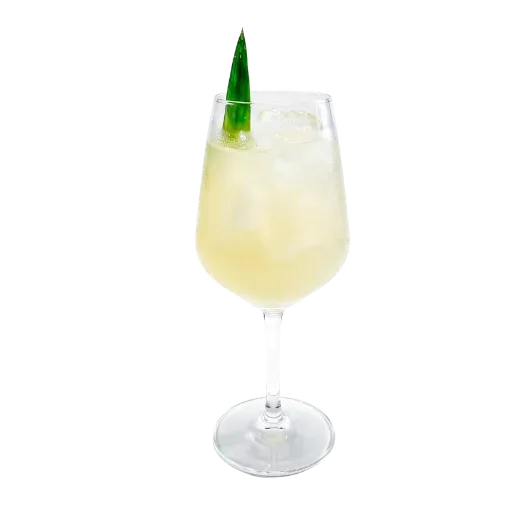 Pina