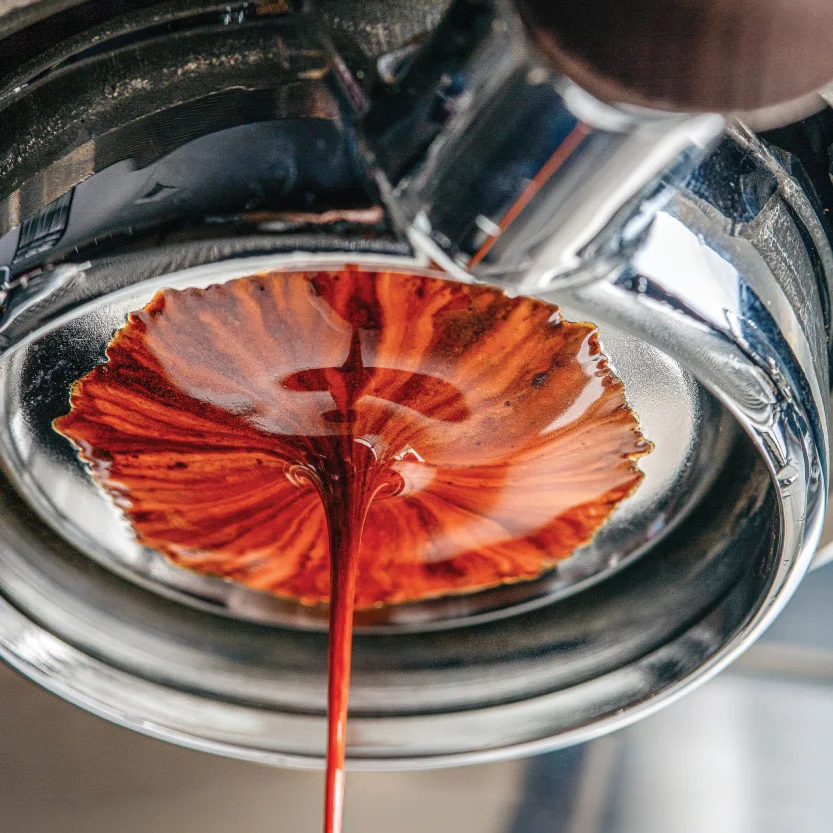 Boabe de cafea de specialitate, saci cu originea etichetată și un barista pregătind espresso